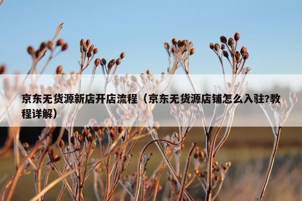 京东无货源新店开店流程（京东无货源店铺怎么入驻?教程详解）