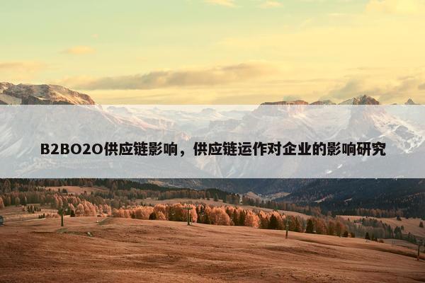 B2BO2O供应链影响，供应链运作对企业的影响研究
