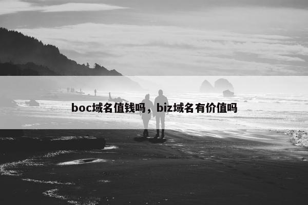 boc域名值钱吗，biz域名有价值吗