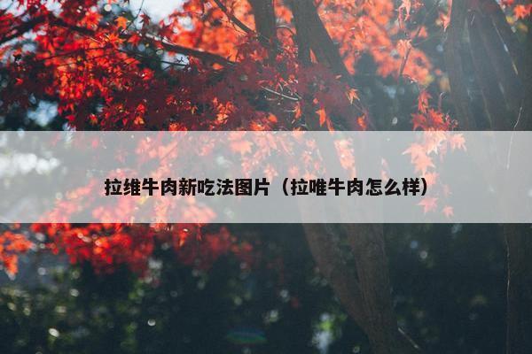拉维牛肉新吃法图片（拉唯牛肉怎么样）