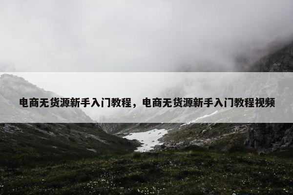 电商无货源新手入门教程，电商无货源新手入门教程视频