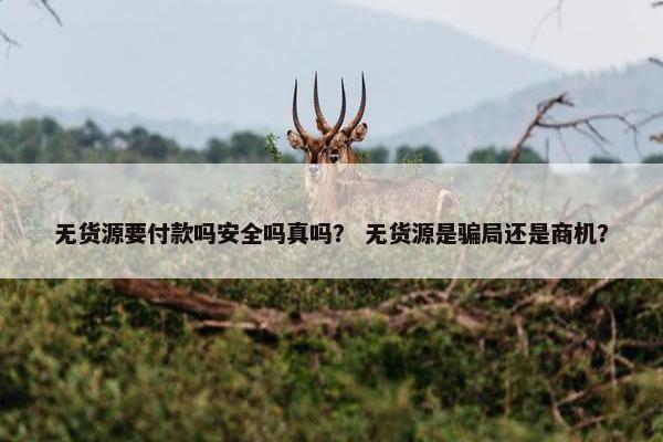 无货源要付款吗安全吗真吗？ 无货源是骗局还是商机？