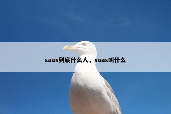 saas到底什么人，saas叫什么
