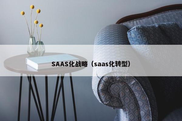 SAAS化战略（saas化转型）