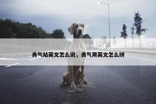 勇气站英文怎么说，勇气用英文怎么拼