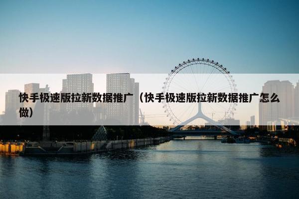 快手极速版拉新数据推广（快手极速版拉新数据推广怎么做）