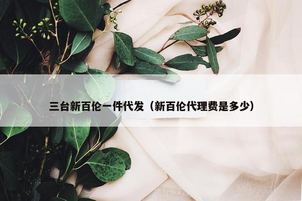 三台新百伦一件代发（新百伦代理费是多少）