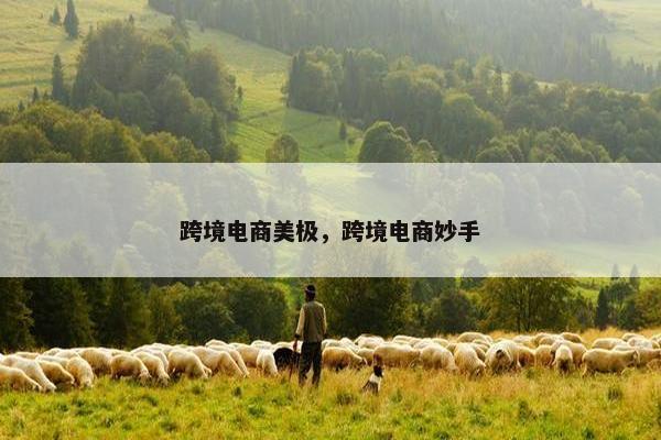 跨境电商美极,跨境电商妙手