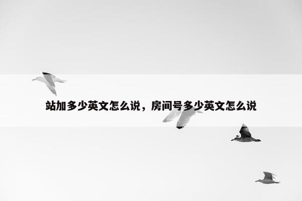 站加多少英文怎么说，房间号多少英文怎么说