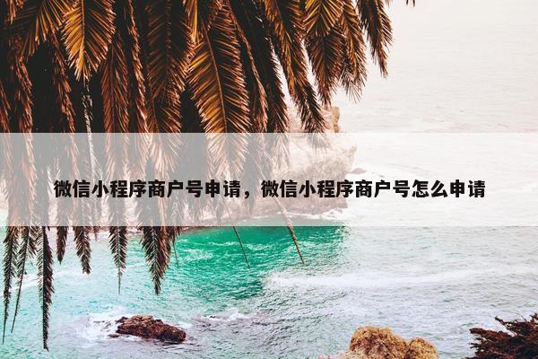 微信小程序商户号申请，微信小程序商户号怎么申请