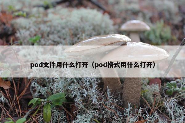pod文件用什么打开（pod格式用什么打开）
