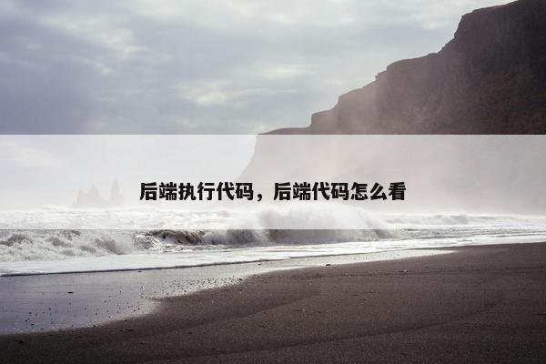 后端执行代码，后端代码怎么看