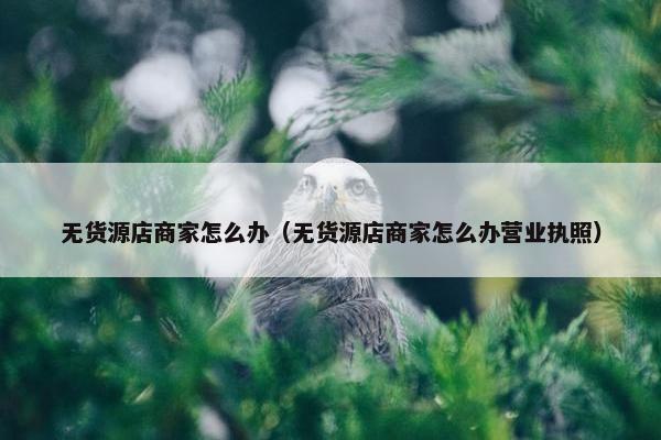 无货源店商家怎么办（无货源店商家怎么办营业执照）