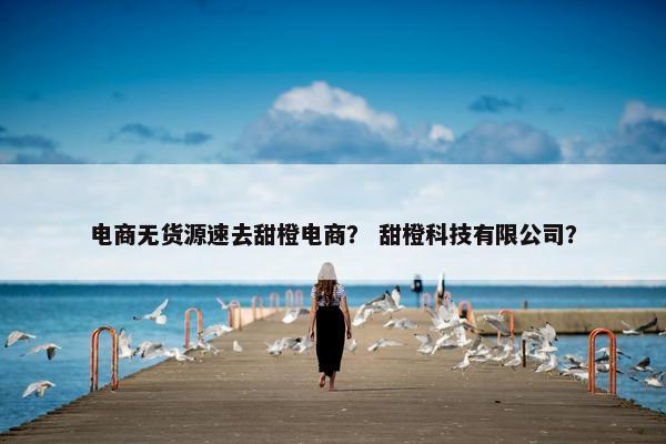 电商无货源速去甜橙电商？ 甜橙科技有限公司？