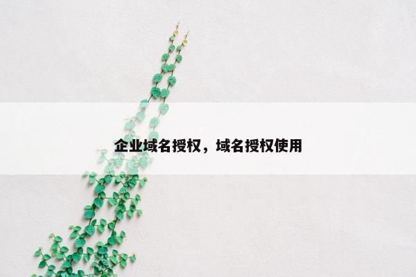 企业域名授权，域名授权使用