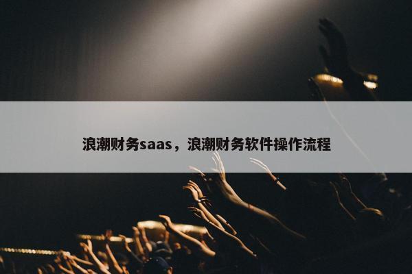 浪潮财务saas，浪潮财务软件操作流程