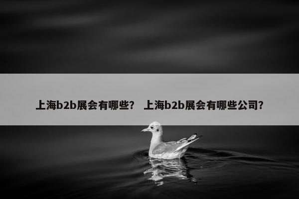 上海b2b展会有哪些？ 上海b2b展会有哪些公司？
