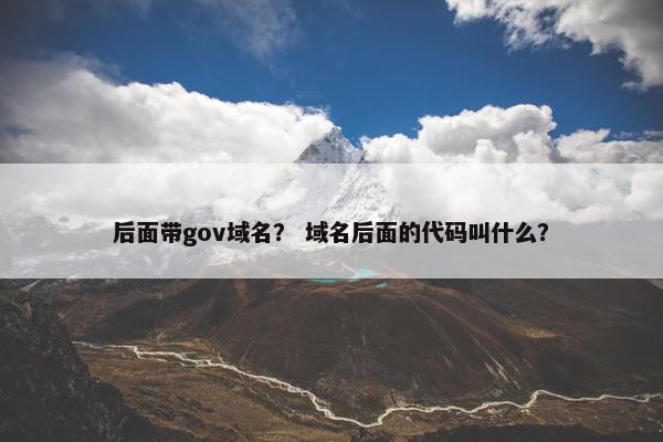 后面带gov域名？ 域名后面的代码叫什么？