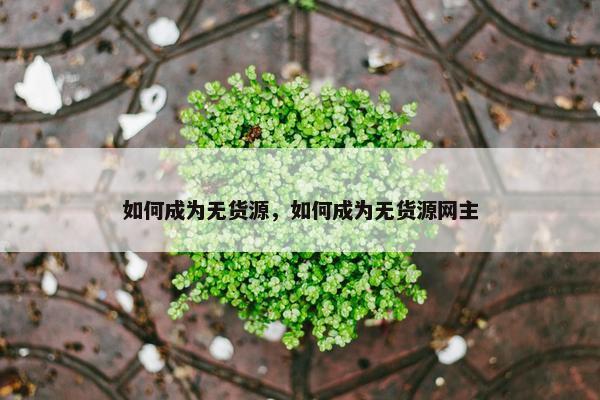 如何成为无货源，如何成为无货源网主