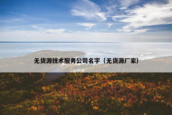 无货源技术服务公司名字（无货源厂家）