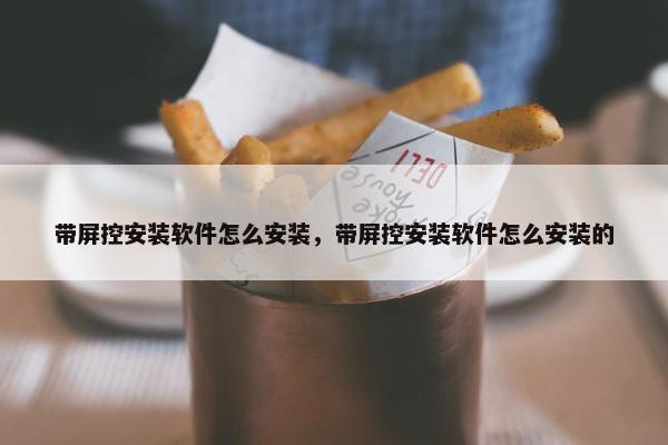 带屏控安装软件怎么安装，带屏控安装软件怎么安装的