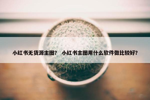 小红书无货源主图？ 小红书主图用什么软件做比较好？