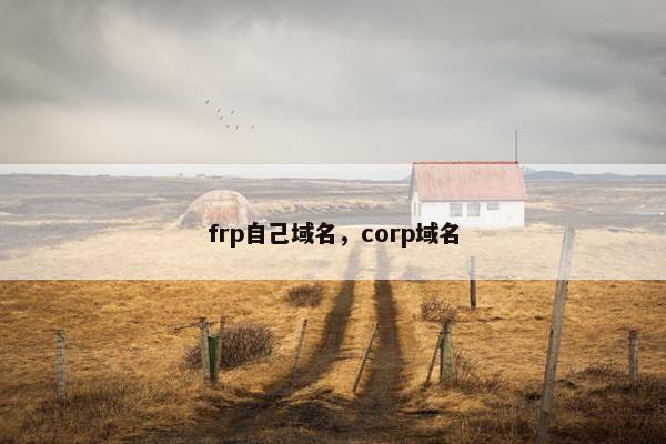 frp自己域名，corp域名