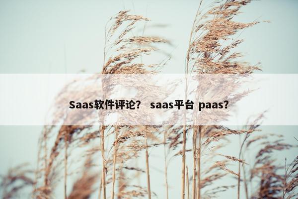 Saas软件评论? saas平台 paas? Saas软件评论? saas平台 paas?