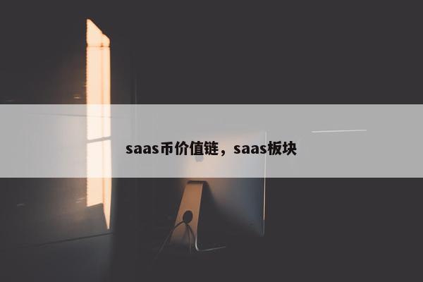 saas币价值链，saas板块
