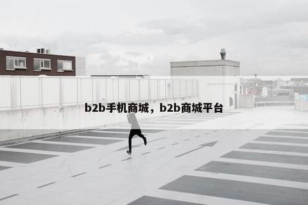 b2b手机商城，b2b商城平台