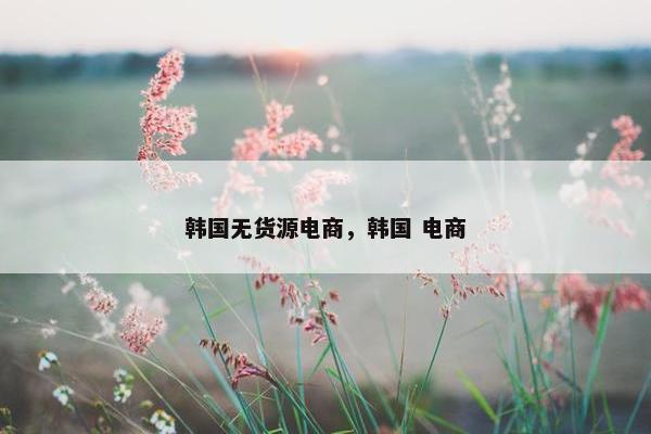 韩国无货源电商，韩国 电商