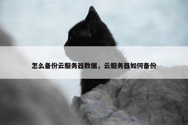 怎么备份云服务器数据，云服务器如何备份