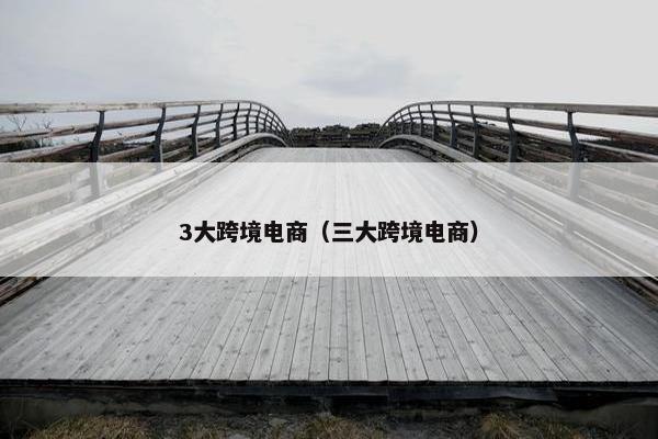 3大跨境电商（三大跨境电商）