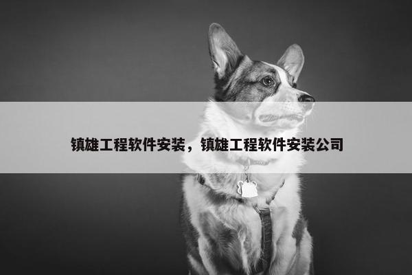 镇雄工程软件安装,镇雄工程软件安装公司