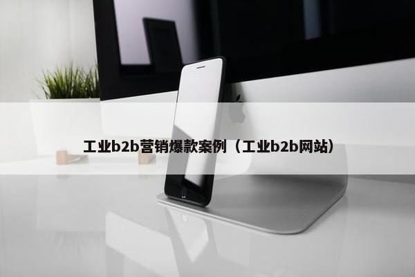 工业b2b营销爆款案例（工业b2b网站）