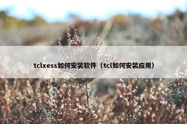tclxess如何安装软件（tcl如何安装应用）