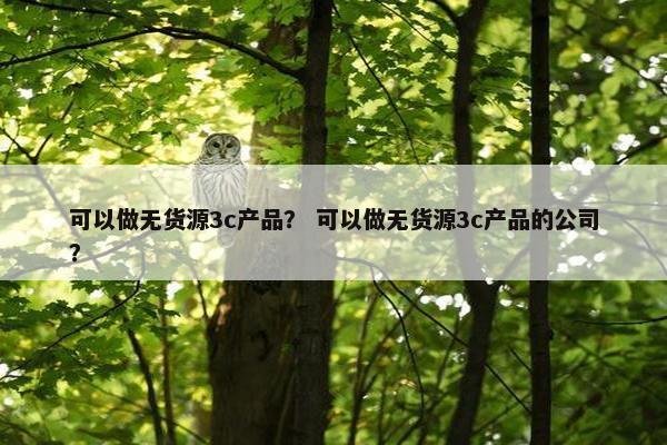 可以做无货源3c产品？ 可以做无货源3c产品的公司？