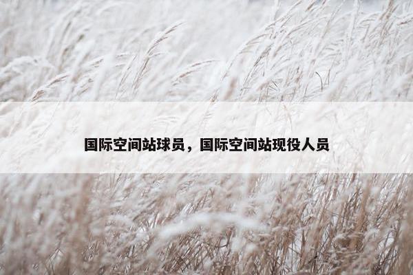 国际空间站球员，国际空间站现役人员