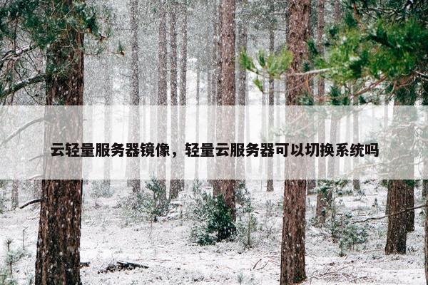 云轻量服务器镜像，轻量云服务器可以切换系统吗