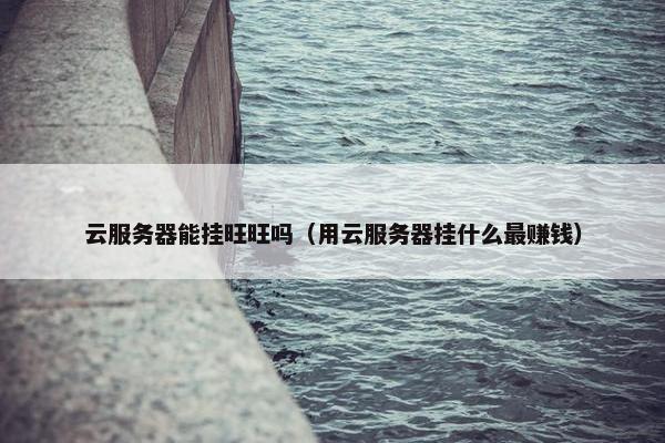 云服务器能挂旺旺吗（用云服务器挂什么最赚钱）