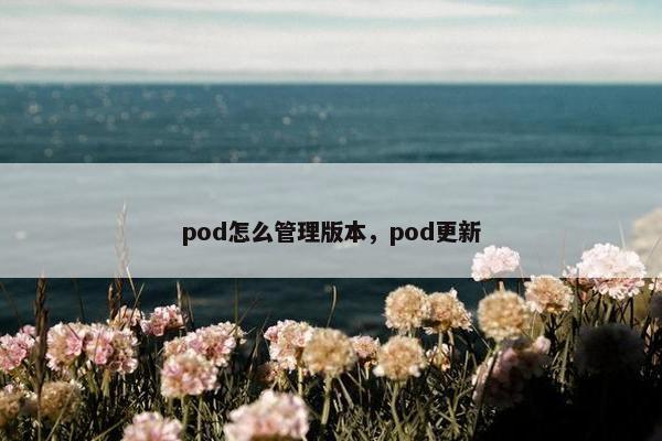 pod怎么管理版本，pod更新