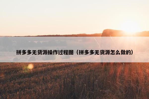 拼多多无货源操作过程图（拼多多无货源怎么做的）