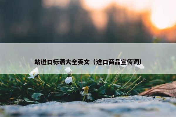 站进口标语大全英文（进口商品宣传词）