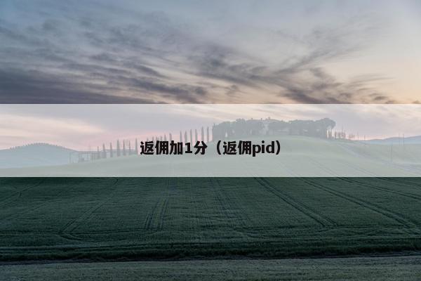 返佣加1分(返佣pid) 返佣加1分(返佣pid)