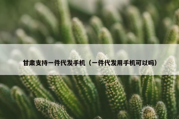 甘肃支持一件代发手机（一件代发用手机可以吗）