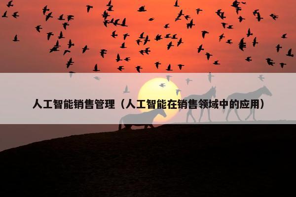 人工智能销售管理（人工智能在销售领域中的应用）
