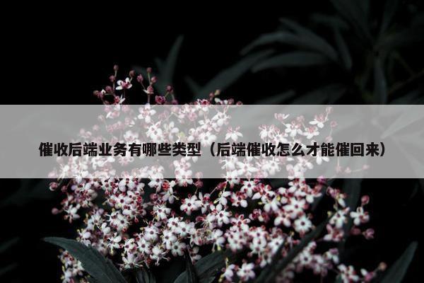 催收后端业务有哪些类型（后端催收怎么才能催回来）