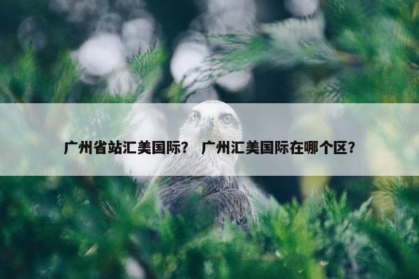 广州省站汇美国际？ 广州汇美国际在哪个区？