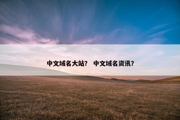 中文域名大站？ 中文域名资讯？