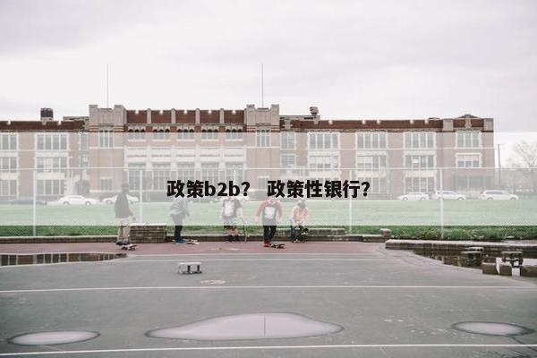 政策b2b？ 政策性银行？